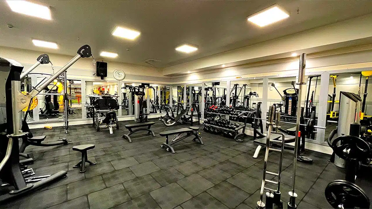 gym4