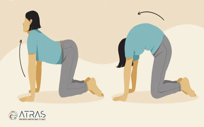 ورزش درمانی برای بیماران ام اس (MS)